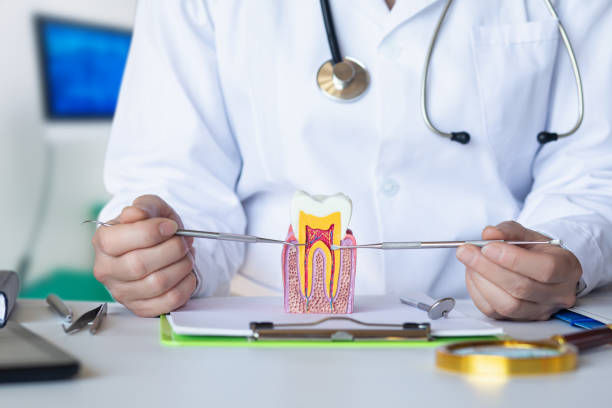 Best Emergency Treatment for Oral Infections in Watertown, MN